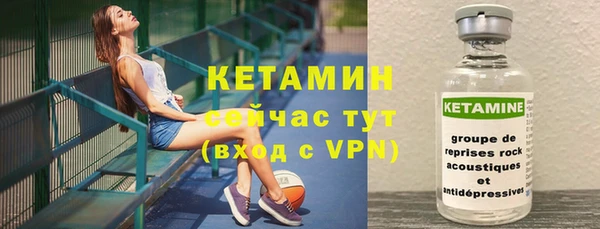 крисы Баксан