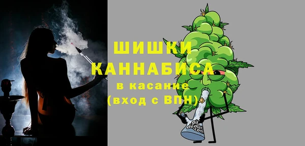 крисы Баксан