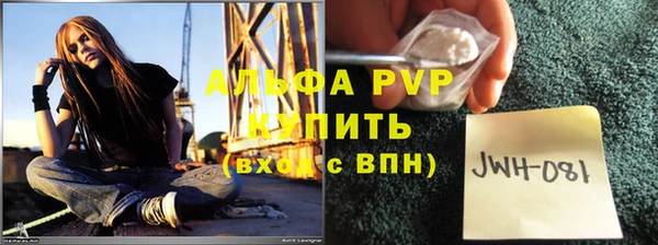 крисы Баксан