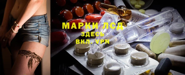 крисы Баксан