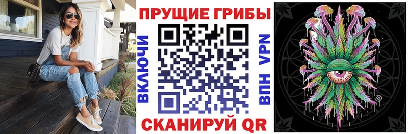 где продают наркотики  Вольск  Галлюциногенные грибы Magic Shrooms 