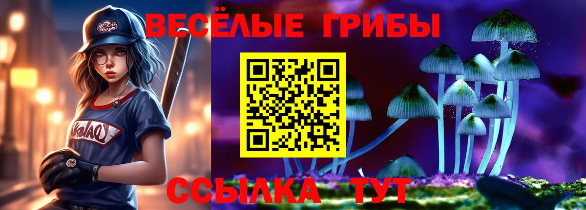Галлюциногенные грибы прущие грибы  Вход с VPN  Вольск  Галлюциногенные грибы прущие грибы 