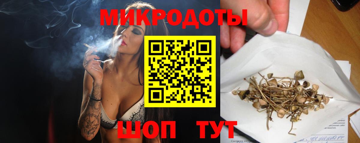 Псилоцибиновые грибы Psilocybine cubensis Вольск